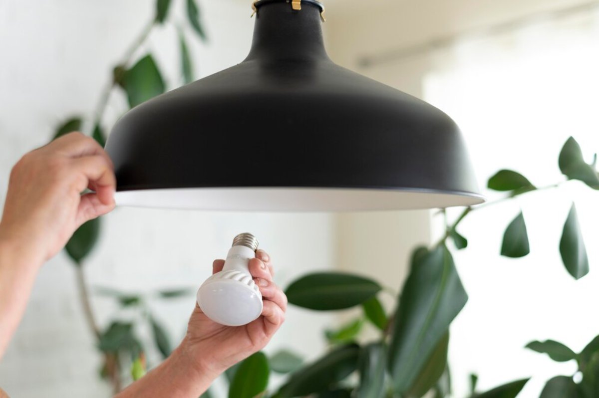 A person is installing a light bulb into a black pendant lamp, surrounded by green plants and bright natural light.