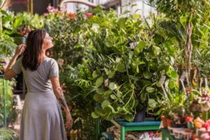 A person in a gray dress gestures thoughtfully while surrounded by vibrant greenery and potted plants in a sunlit greenhouse.